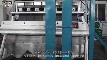 AMD color sorter machine for sorting and grading rice George Wong WhatsApp:+86-18257877760