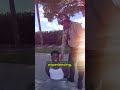 American Footballer Tyreek Hill Detained by Miami Police Ahead of Game: Body Camera Footage #crime