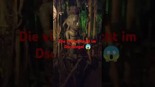 Im Nächtlichen Dschungel Was Verstecken