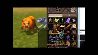 Cheat Metin2 2013 PL EXPBOT, TRADEHACK, YANGBOT, SPEEDHACK, MULTIHACK 100% WORKING