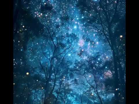 Розы на столе А в бокале Вино