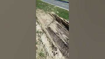 Johnny Bucket doing ACTUAL work  | Cub Cadet GT2544