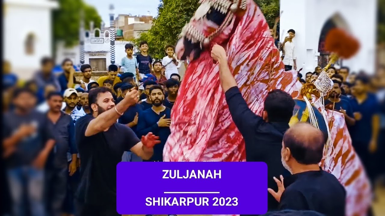 ZULJANAH SHIKARPUR VIDEO | 21 Chhelum Juloos Alam e Mubarak 🚩 2023