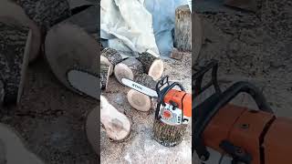 Stihl ms 361.Відеоогляд після 5ти років експлуатації