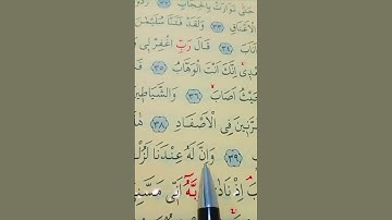سورة ص الأية 37 إلى 42 القارئ سعد الغامدي #قران_كريم