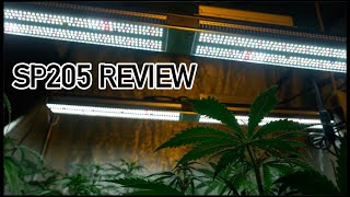 LED SP250 REVIEW | MARS HYDRO 💡