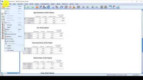 How to export pivot tables in SPSS into excel file