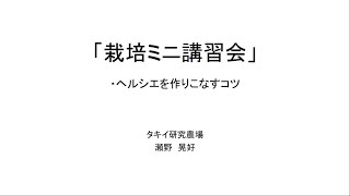 【野菜】「栽培解説」オクラ『ヘルシエ』栽培ミニ講習会