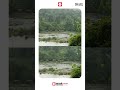 വരിവരിയായി!! അതിരപ്പിള്ളി വൈശേരിയിലേക്ക് വീണ്ടും കാട്ടാനകൾ | WILD ELEPHANT