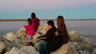 Port Aransas with dolphins