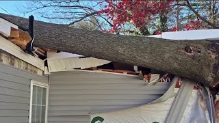 Neighbors rescue family after wind topples tree onto Germantown home | NBC4 Washington
