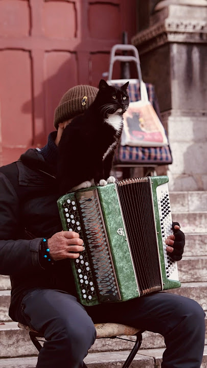 A street musician with a cat on an accordion, in Montmartre, Paris today #parisianstreets #paris