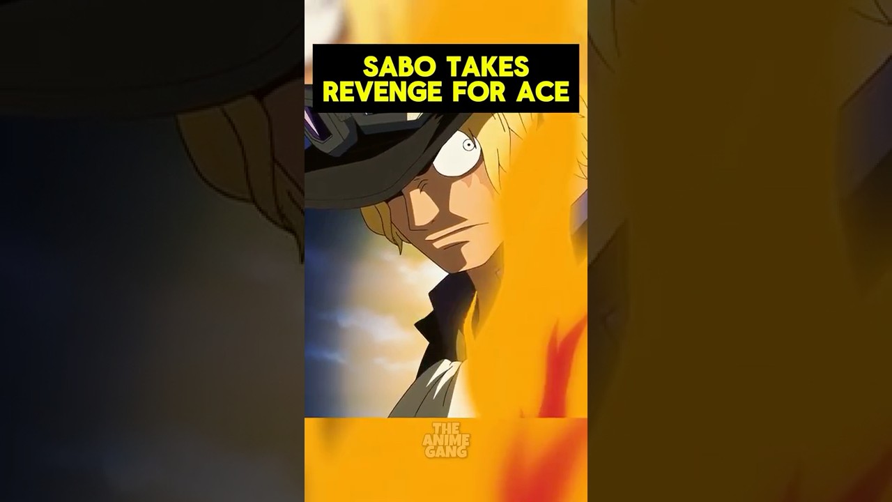 Sabo takes revenge for Ace🔥