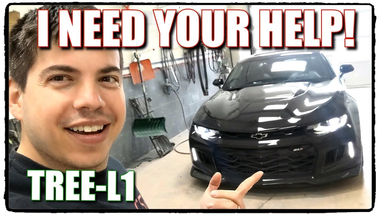 Andrew's Tree-L1 Update - I need YOUR help!