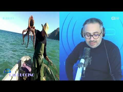 إنطلاقة دون المأمول لموسم صيد الأخطبوط بسبب الممارسات غير القانونية لبعض البحارة