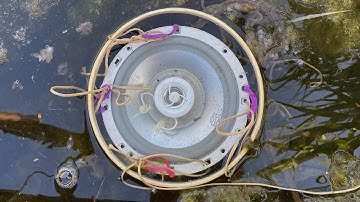 Sonic Fragilities – Errant Sound at Floating Berlin