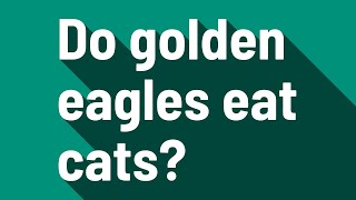 Do golden eagles eat cats?
