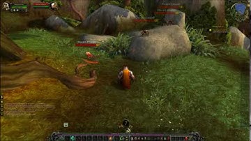 WoW MoP Beta: Pandaren Monk: Fighting on level 3, 2 hands
