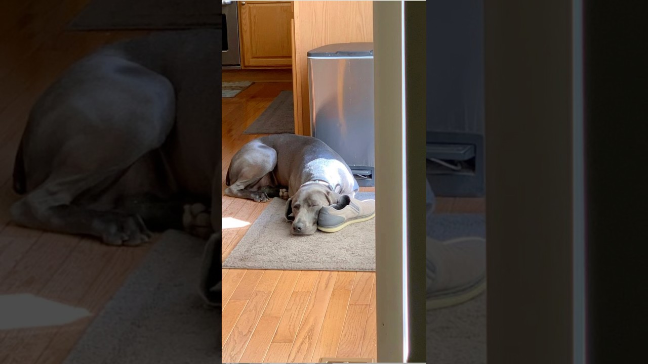 Phantom my little baby … 