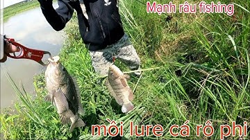 Câu cá rô phi bằng cá sắt và cái kết.mạnh râu fishing