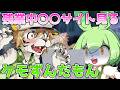 【ずんだもん】残業中エ〇サイトで息抜きするケモずんだもん 【VOICEVOX劇場】【ケモノ】