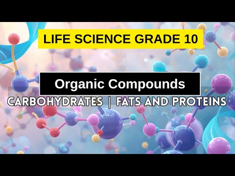 Life Sciences Grade 10: Organic Compounds | Carbohydrates | Fats and Proteins EXPLAINED!