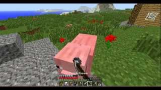 Invincible Pig DaFuq