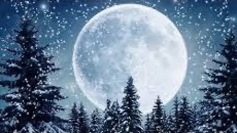 Winter Solstice Oracle Drop 🩵🤍