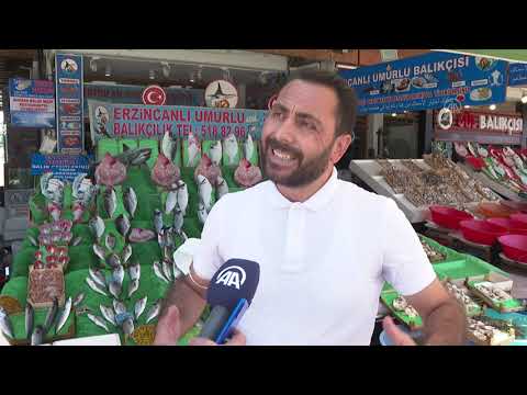 Av sezonunun açılmasıyla