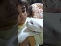 Teasing the cat🐱🐱🐱🐱#kitten 🐱#catbaby #viral 🔥#palwashahouse #foryou 💯