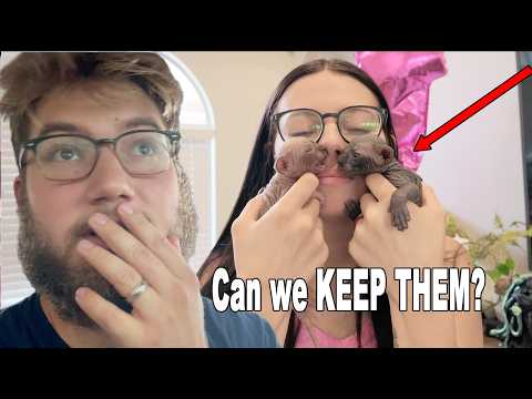 Can We KEEP Them PLEASE??