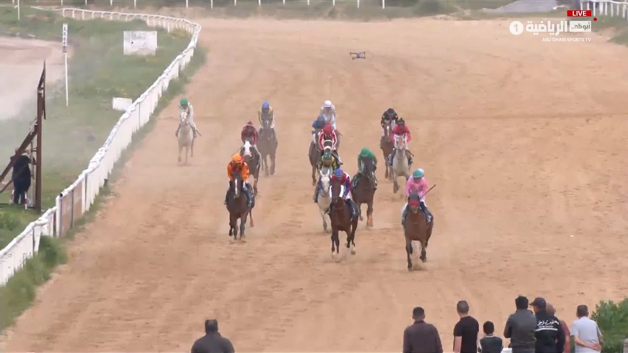 كأس رئيس الدولة للخيول العربية الأصيلة - تونس | الشوط الثامن