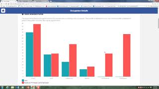 Focus 2 - Career Assessment - System in Detail