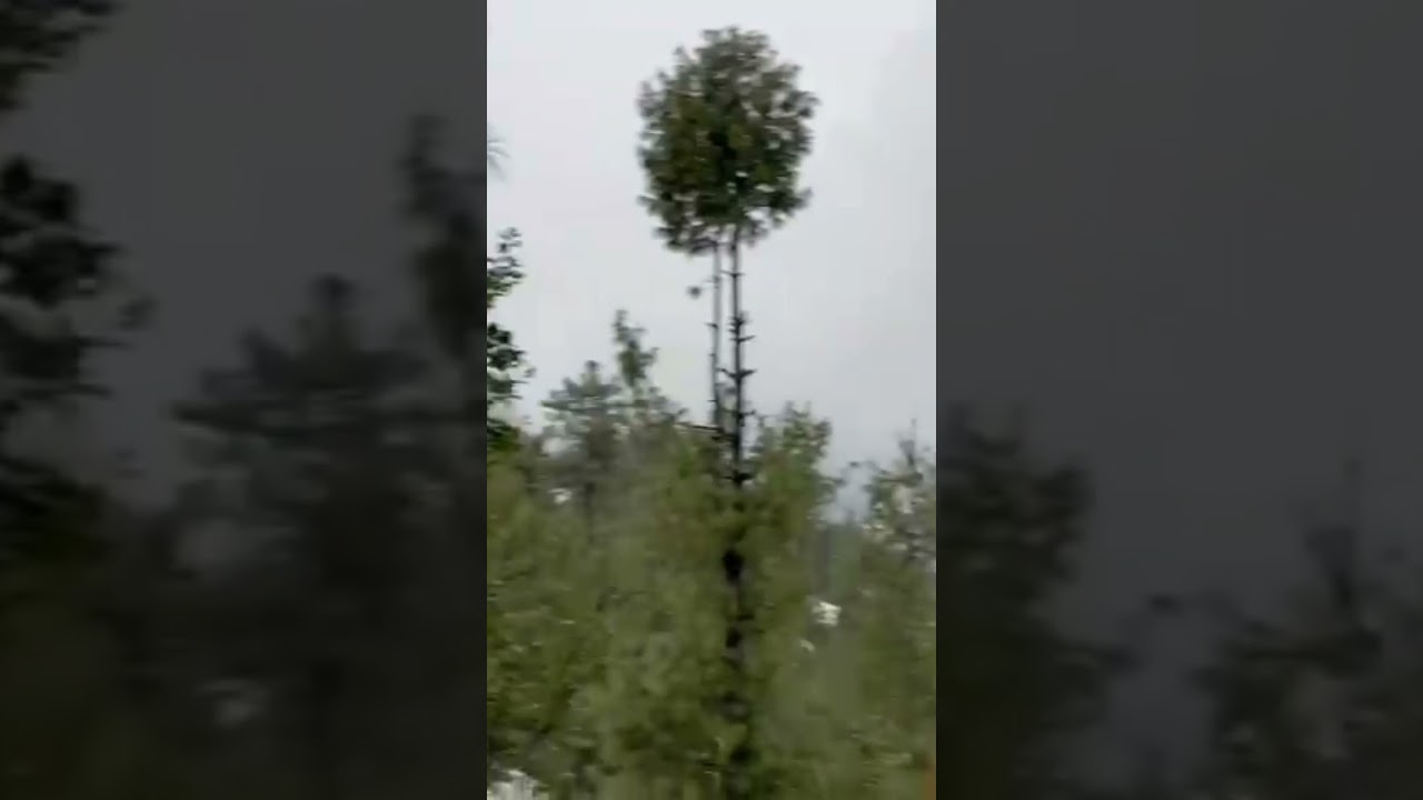 Snow Fall || Chattar plain pakistan