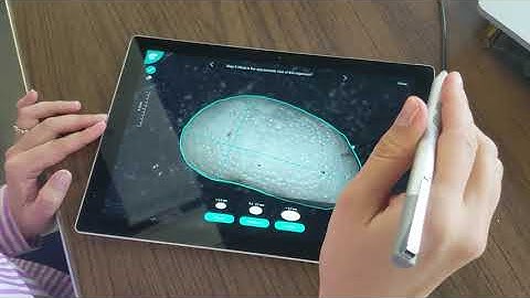 FossilSketch: Why do we study Microfossils?