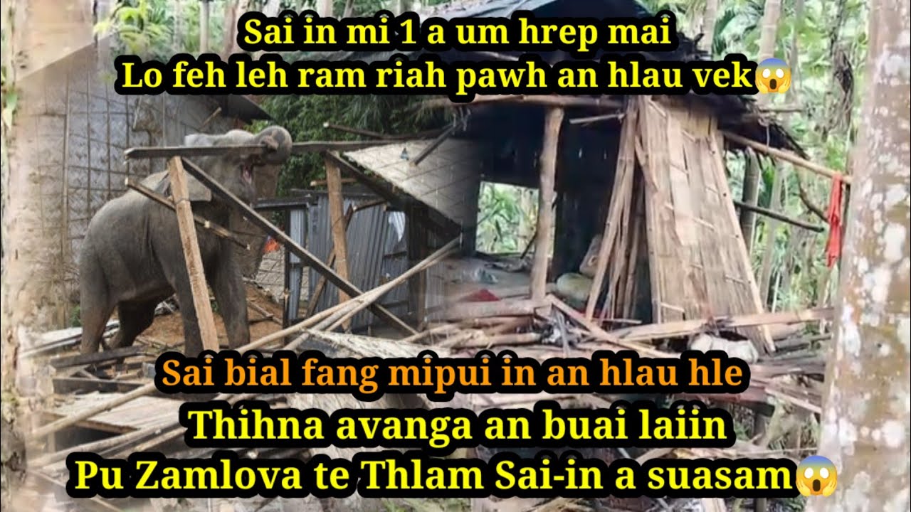 Sai sual a che/Mipui an ral khel//Lo feh leh ram riah pawh an hlau vek😱