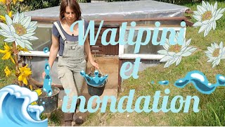 intempéries 💧 ma serre Walipini va-t-elle être inondée ? 🌊