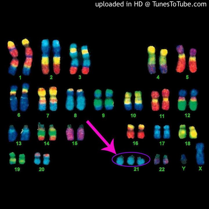 Roy Harper | The Green Man | Solar Wind Sculptures