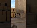 Under Palace Molly From Tetris On Mirage #shorts