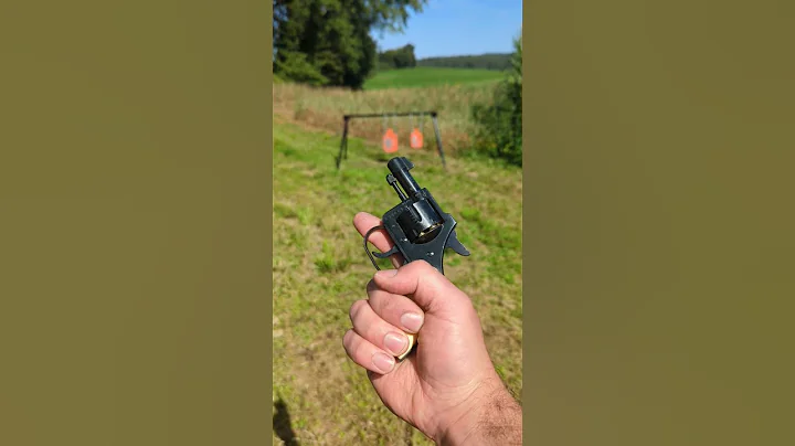 The World's Greatest Revolver