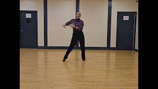 I Didn’t Come Here To Leave | LINE DANCE | Demo
