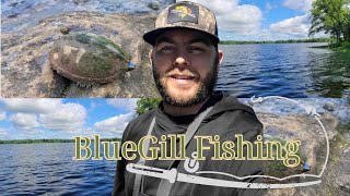 Bluegill Fishing Baldknob lake 2024