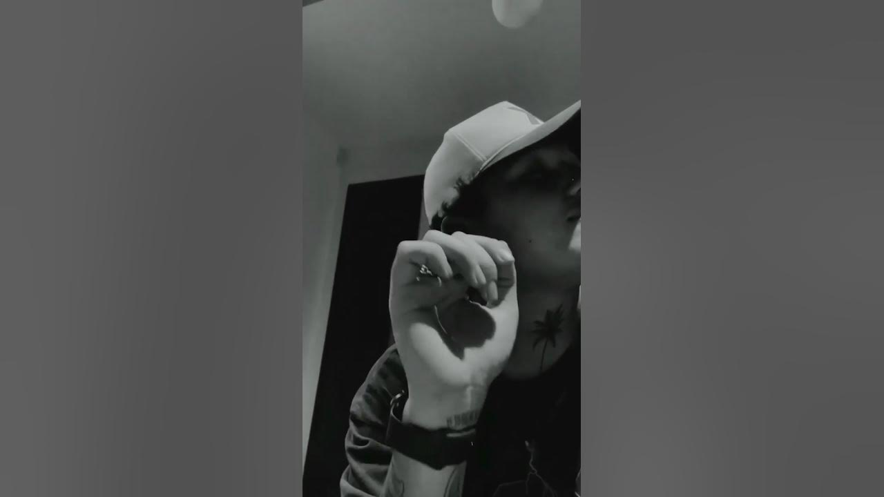 Beelecito