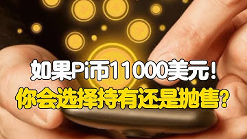 Pi Network：如果Pi币11000美元！你会选择持有还是抛售？