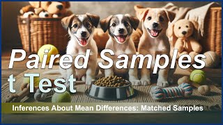 Paired Samples t Test