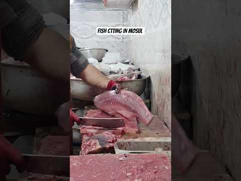 اقدم السمك في موصل ميدان من ١٩٧٠ م اكلات شعبية