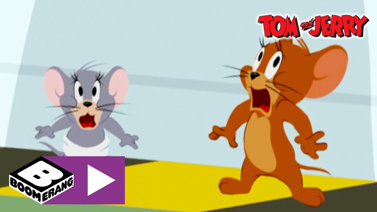 Tom & Jerry | Fight Flight | Boomerang UK - YouTube