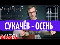 Сукачев Осень разбор на гитаре - тональность Em - как играть на гитаре | pro-gitaru.ru