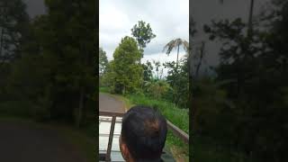 Download Lagu Kebun cengkeh ,##ananda ragil MP3 Download Lagu Kebun cengkeh ,##ananda ragil MP3
