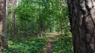 Brama Do Lasu Mazury Masurian Gate To The Forest